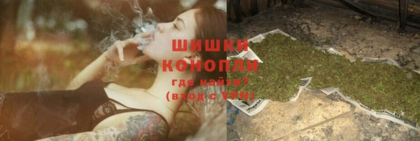 сатива Арсеньев