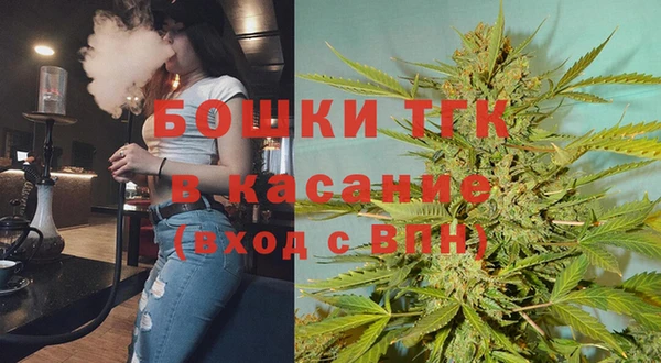 Альфа ПВП Аркадак