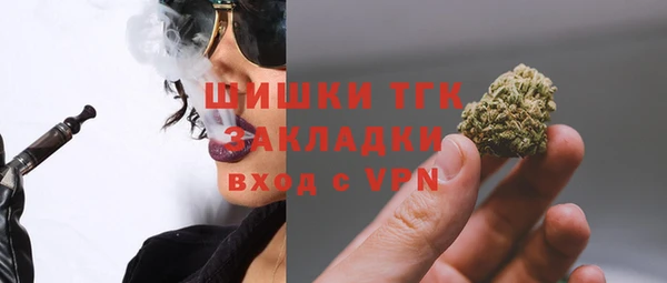 сатива Арсеньев