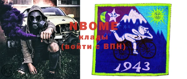 apvp Пестово