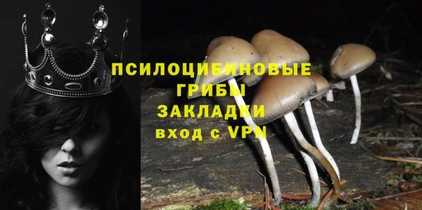 сатива Арсеньев