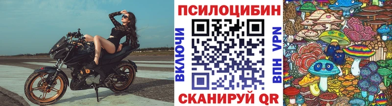 Галлюциногенные грибы GOLDEN TEACHER  купить закладку  мега зеркало  Лукоянов 